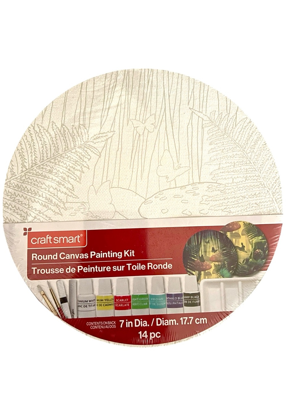 Craft Smart Round Canvas Acrylic Painting Kit